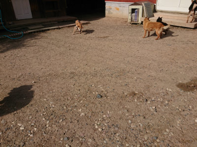 f:id:roukenhome-ann:20190531111853j:plain