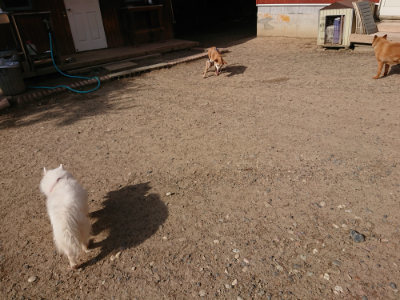 f:id:roukenhome-ann:20190531111904j:plain