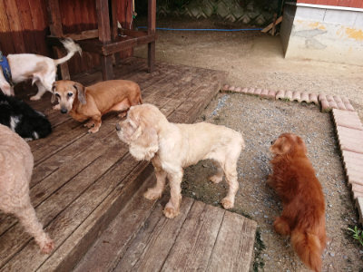 f:id:roukenhome-ann:20190610085048j:plain f:id:roukenhome-ann:20190610085048j:plain