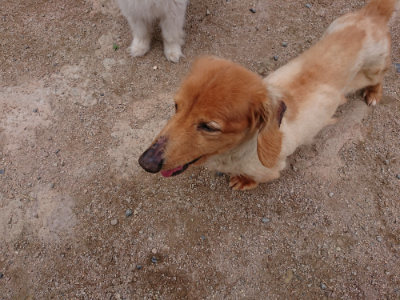 f:id:roukenhome-ann:20190610085123j:plain f:id:roukenhome-ann:20190610085123j:plain