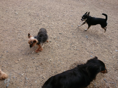 f:id:roukenhome-ann:20190610085244j:plain f:id:roukenhome-ann:20190610085244j:plain