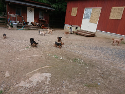 f:id:roukenhome-ann:20190610085318j:plain f:id:roukenhome-ann:20190610085318j:plain