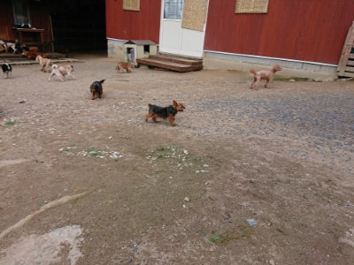 f:id:roukenhome-ann:20190610085324j:plain f:id:roukenhome-ann:20190610085324j:plain