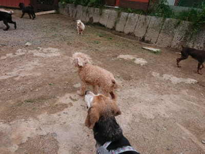 f:id:roukenhome-ann:20190610085346j:plain f:id:roukenhome-ann:20190610085346j:plain