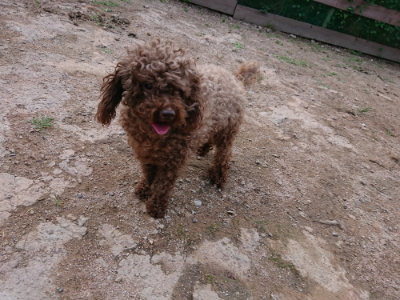 f:id:roukenhome-ann:20190610085409j:plain f:id:roukenhome-ann:20190610085409j:plain