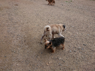 f:id:roukenhome-ann:20190610085430j:plain f:id:roukenhome-ann:20190610085430j:plain