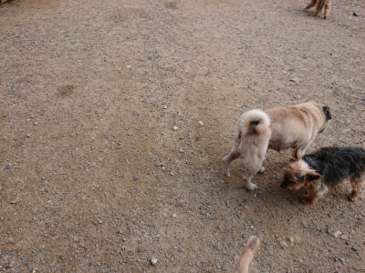 f:id:roukenhome-ann:20190610085446j:plain f:id:roukenhome-ann:20190610085446j:plain