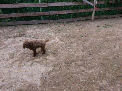 f:id:roukenhome-ann:20190610085451j:plain f:id:roukenhome-ann:20190610085451j:plain
