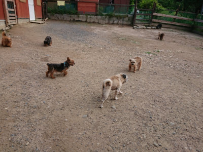 f:id:roukenhome-ann:20190610085713j:plain f:id:roukenhome-ann:20190610085713j:plain
