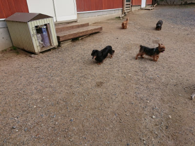 f:id:roukenhome-ann:20190610085718j:plain f:id:roukenhome-ann:20190610085718j:plain