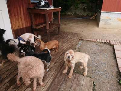 f:id:roukenhome-ann:20190610085748j:plain f:id:roukenhome-ann:20190610085748j:plain