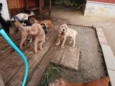 f:id:roukenhome-ann:20190610085805j:plain f:id:roukenhome-ann:20190610085805j:plain