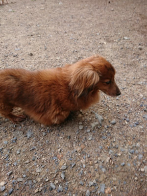 f:id:roukenhome-ann:20190610085856j:plain f:id:roukenhome-ann:20190610085856j:plain