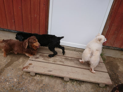 f:id:roukenhome-ann:20190610085952j:plain f:id:roukenhome-ann:20190610085952j:plain