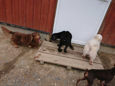 f:id:roukenhome-ann:20190610090010j:plain f:id:roukenhome-ann:20190610090010j:plain