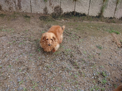 f:id:roukenhome-ann:20190610090055j:plain f:id:roukenhome-ann:20190610090055j:plain