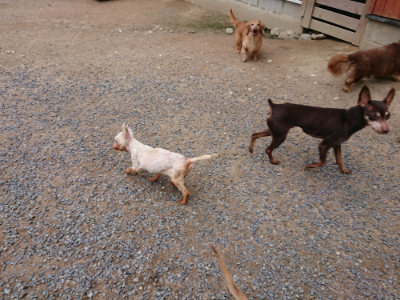 f:id:roukenhome-ann:20190610090103j:plain f:id:roukenhome-ann:20190610090103j:plain