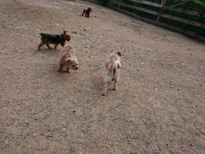 f:id:roukenhome-ann:20190610090114j:plain f:id:roukenhome-ann:20190610090114j:plain