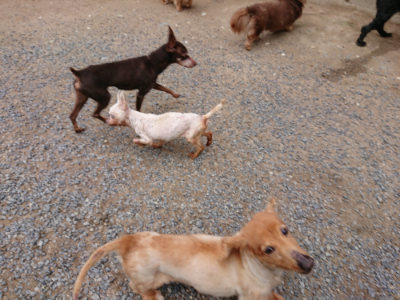 f:id:roukenhome-ann:20190610090121j:plain f:id:roukenhome-ann:20190610090121j:plain