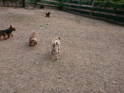 f:id:roukenhome-ann:20190610090128j:plain f:id:roukenhome-ann:20190610090128j:plain