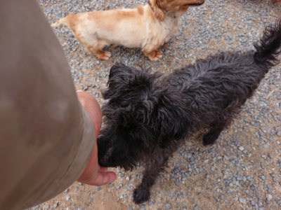 f:id:roukenhome-ann:20190610090138j:plain f:id:roukenhome-ann:20190610090138j:plain
