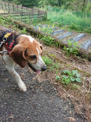 f:id:roukenhome-ann:20190611143224j:plain f:id:roukenhome-ann:20190611143224j:plain