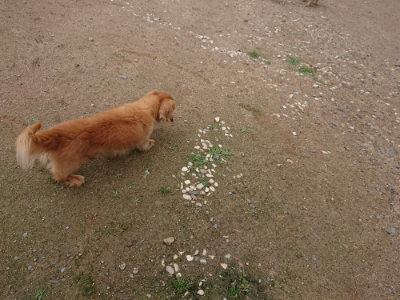 f:id:roukenhome-ann:20190611182515j:plain