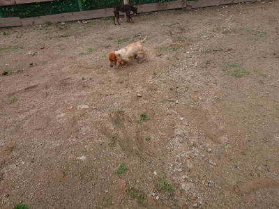 f:id:roukenhome-ann:20190611182520j:plain