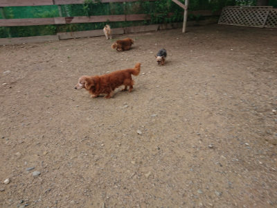 f:id:roukenhome-ann:20190611182525j:plain