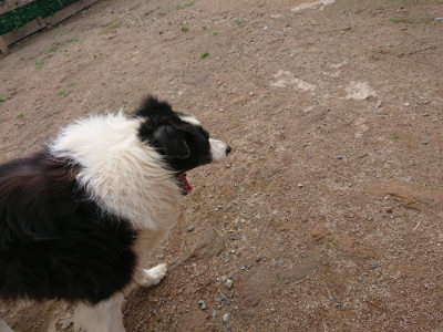 f:id:roukenhome-ann:20190611182529j:plain