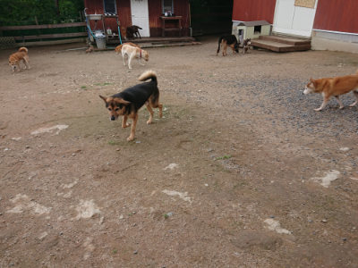 f:id:roukenhome-ann:20190611182546j:plain