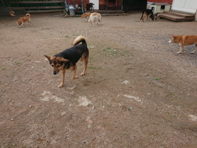 f:id:roukenhome-ann:20190611182552j:plain