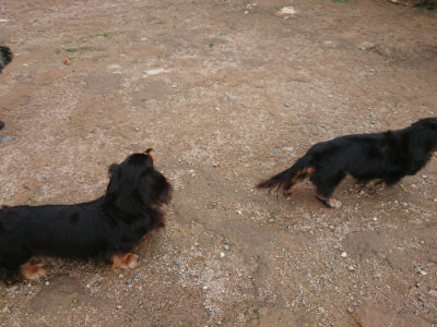 f:id:roukenhome-ann:20190611182606j:plain