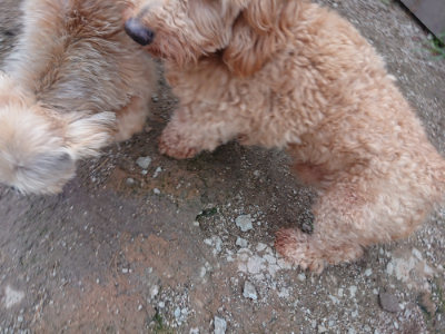 f:id:roukenhome-ann:20190611182612j:plain