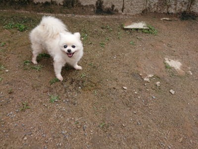 f:id:roukenhome-ann:20190611182621j:plain