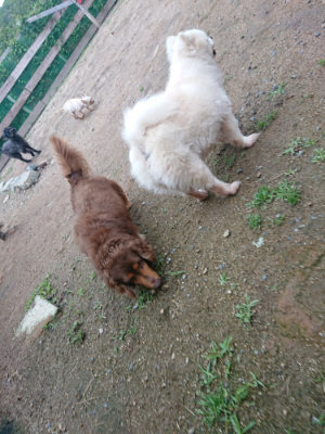 f:id:roukenhome-ann:20190611182627j:plain