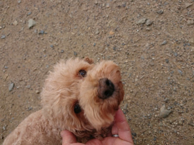 f:id:roukenhome-ann:20190611182637j:plain