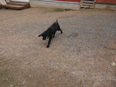 f:id:roukenhome-ann:20190611182648j:plain