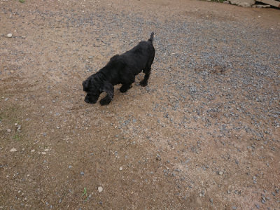 f:id:roukenhome-ann:20190611182654j:plain