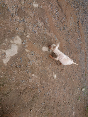 f:id:roukenhome-ann:20190611182658j:plain