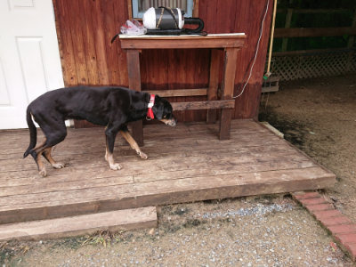 f:id:roukenhome-ann:20190611182714j:plain