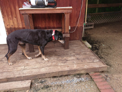 f:id:roukenhome-ann:20190611182718j:plain