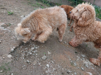 f:id:roukenhome-ann:20190611182724j:plain