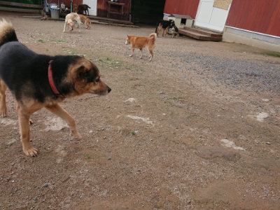 f:id:roukenhome-ann:20190611182735j:plain