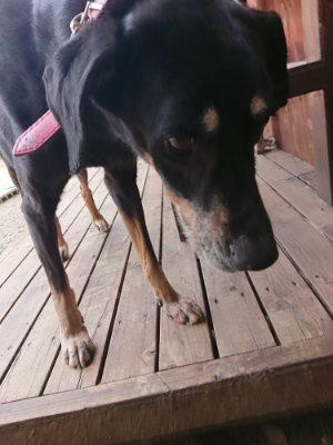 f:id:roukenhome-ann:20190611182740j:plain