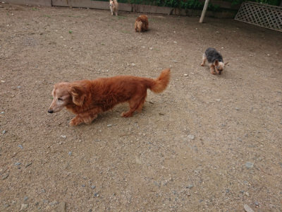 f:id:roukenhome-ann:20190611182750j:plain