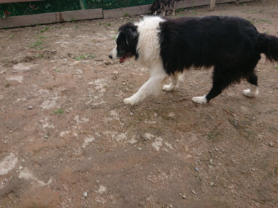 f:id:roukenhome-ann:20190611182802j:plain