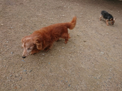 f:id:roukenhome-ann:20190611182812j:plain