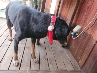 f:id:roukenhome-ann:20190611182826j:plain