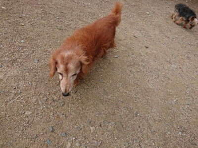 f:id:roukenhome-ann:20190611182832j:plain